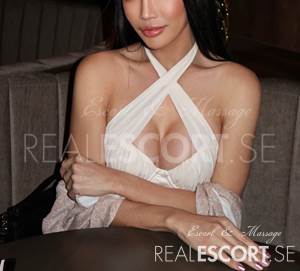 Ani_thai_trans